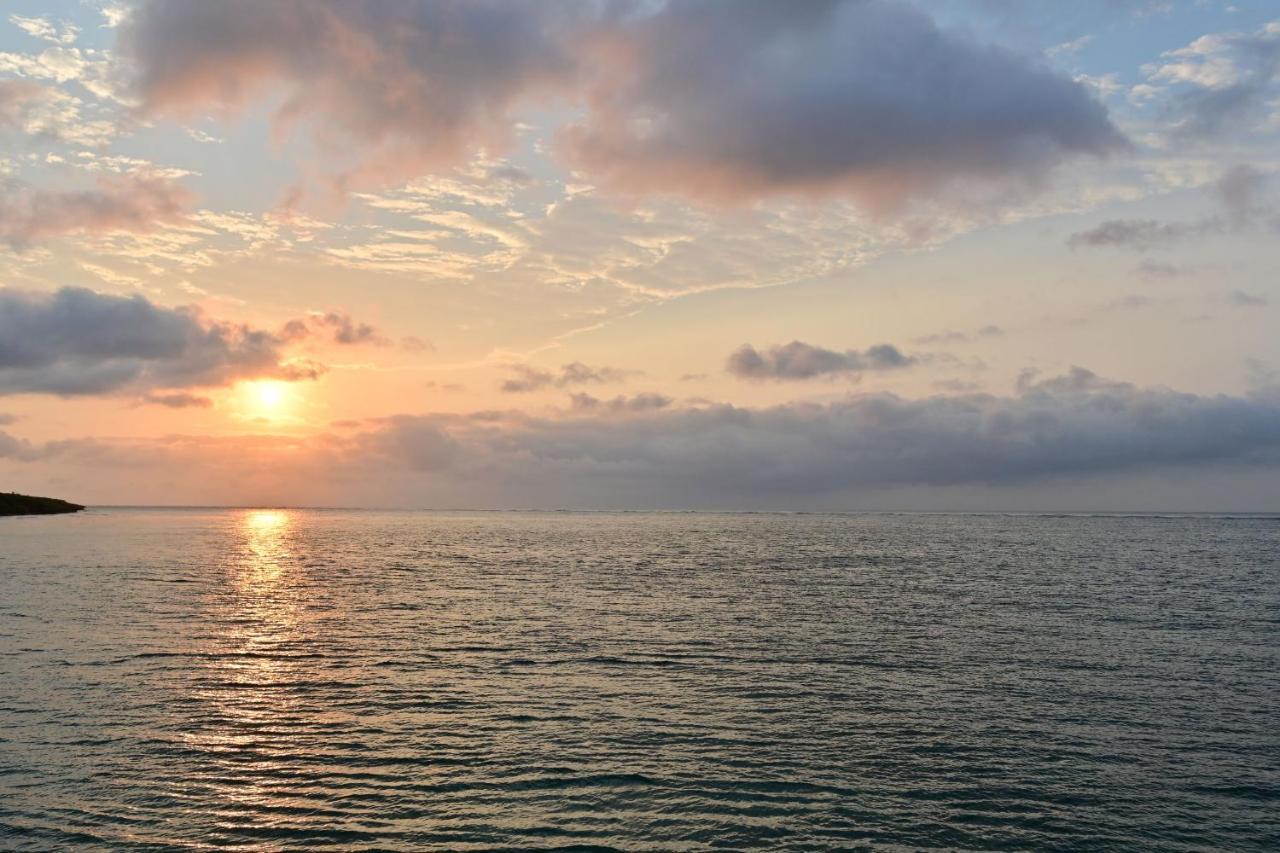 Daily & Weekly Condominium Blue Ocean Ishigaki Ishigaki  Eksteriør bilde